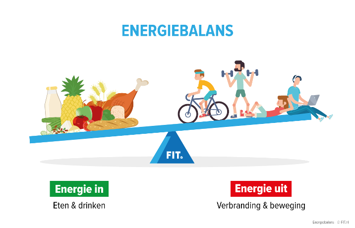 Bereken je calorie-behoefte met de P.A.-calorieën calculator